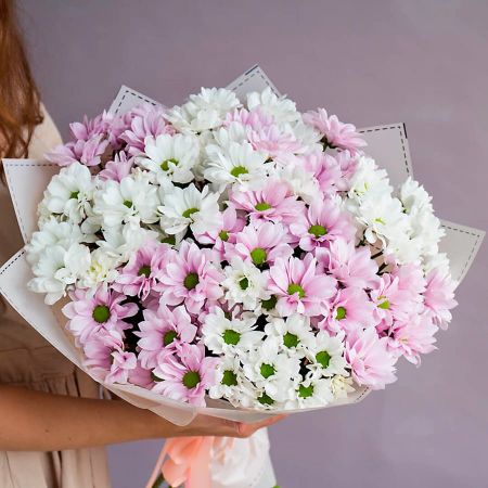 Ромашковое поле